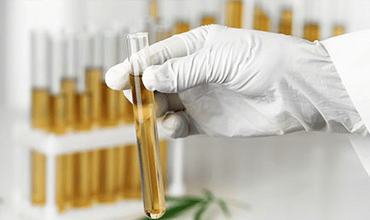 Cannabis Testing