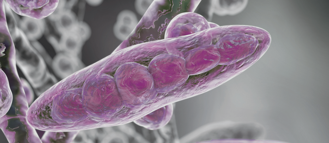 Bead Mill Homogenization Streamlines Dermatomycoses Organism Identification by Drastically Reducing Sample Preparation Time