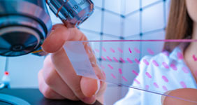 THE IMPORTANCE OF HOMOGENIZATION IN CANCER RESEARCH